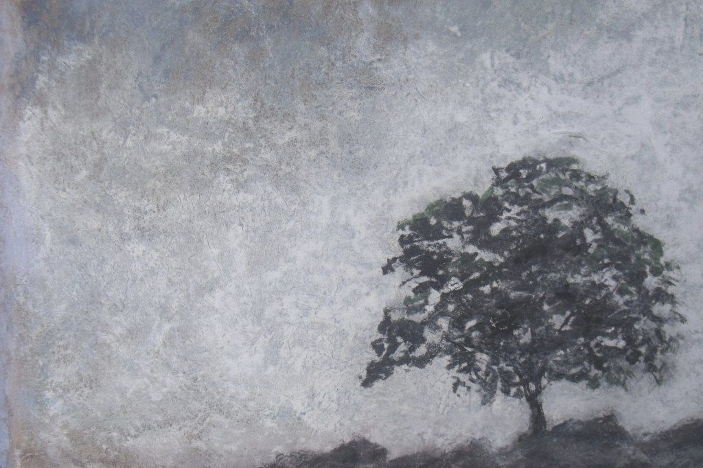 DSCF3307 misty tree lhs blank