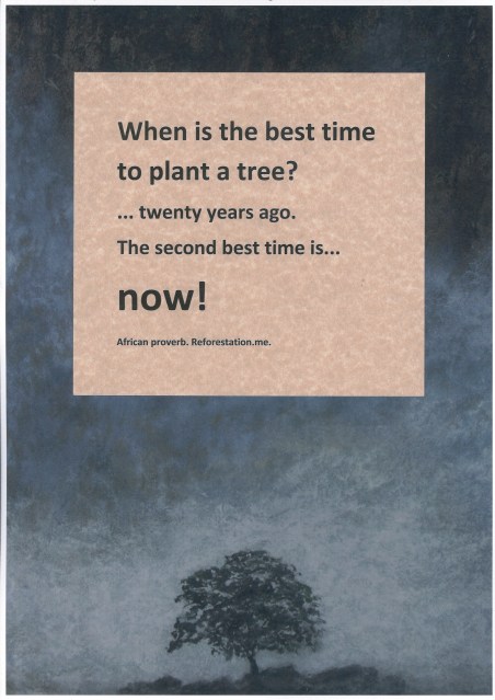"When is the best time to plant a tree?"