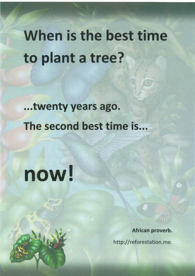 The best time to plant a tree. Background paper: Cumberland "Jungle Design".