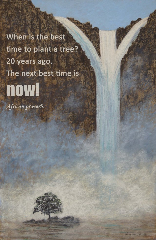 When is the best time to plant a tree?