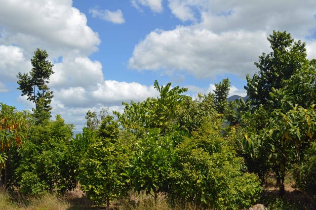 Same project, a couple of years later.