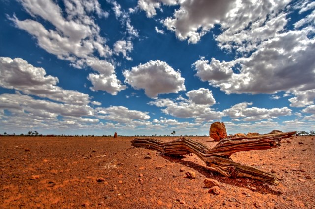 The harsh beauty of the Australian desert. Photo: Bryan Clode.