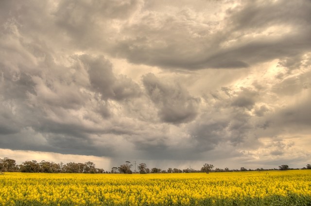 Trangie News South Wales. Photo: Bryan Clode