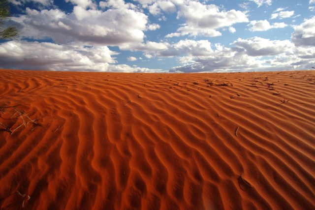 Red sand dune, Australian Outback. Photo: Bryan Clode.