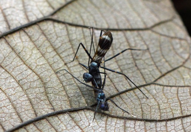 On the mat. Photo: David Clode.