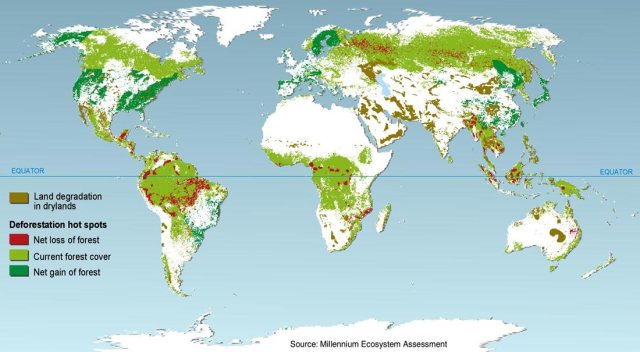 Deforestation and reforestation map. Not all bad news. Photo: Millennium ecosystem assessment.