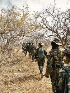 Black Mamba anti poaching unit on patrol in South Africa. The unit is made up of mostly very brave women. However, the woodland camouflage is too green and too dark. Photo: www.independent.co.uk.