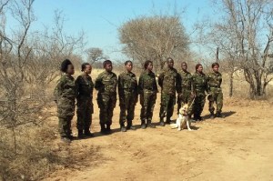 The camouflage uniforms worn by most anti-poaching units is designed for wet forests, and is too dark and green for the dry,open grassy woodland common in many national parks, especially in Africa and India.