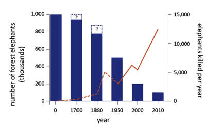 African forest Elephant decline. Graph: animals.oreilly.com.