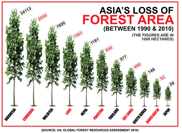 Illustration: ejap.org.