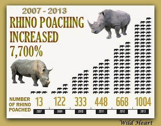 Rhino poaching. Graph: fightforrhinos.com.
