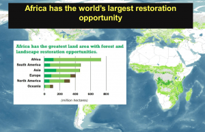 Ecological restoration opportunities - potential environmental,economic and employment boost.