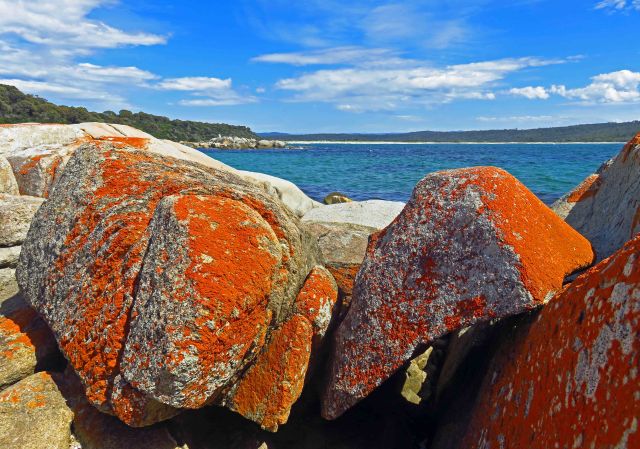 Burns Beach, Bay of Fires, Tasmania. Photo: David Clode.