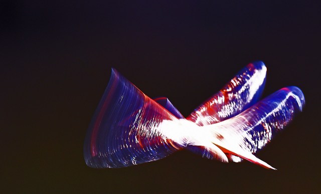 Flying dragonfly. an arty version, enhanced with Photoshop Elements. Tramea loewii, Freshwater lake, Cairns. Photo: David Clode.