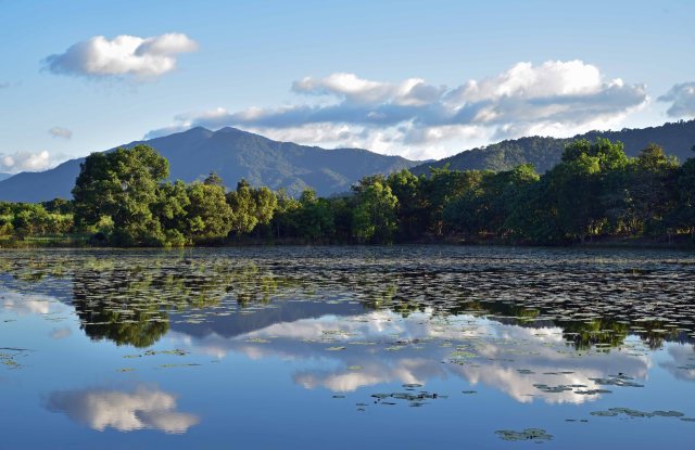 Cattana wetlands. Photo: David Clode.