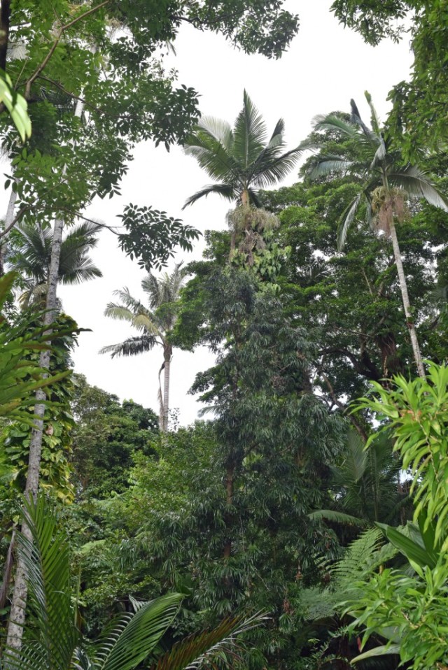 ????????????????????????????????????