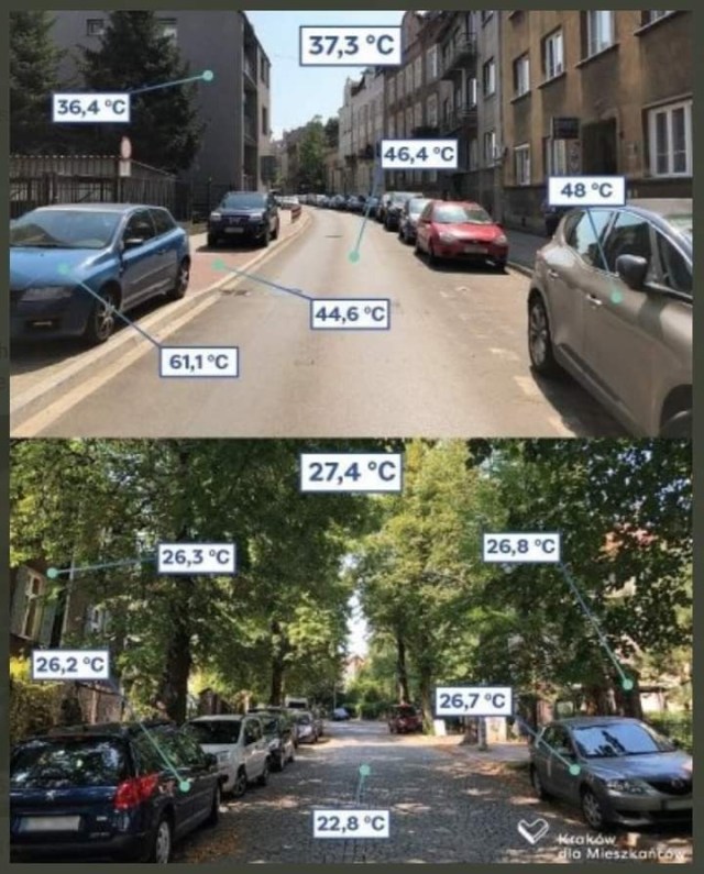 216154895_1006171000129788_8344927013358707042_n